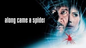 Telaraña — foto 3