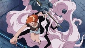 ¡No daré una patada ni aunque me cueste la vida! ¡La caballerosidad de Sanji!