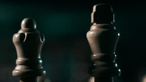 Pawns — foto 4