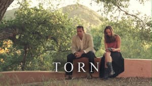 Torn — foto 1