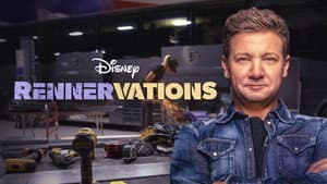 Proyecto Renner — foto 11