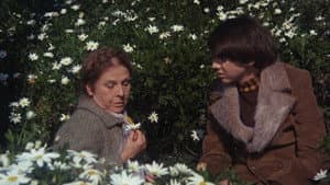Harold y Maude — foto 9