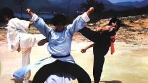 雜家高手 — foto 1
