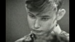 The Hundred Videos #3 — foto 4