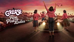 Vaselina: El origen de las Damas Rosadas — foto 11