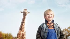 Dikkertje Dap — foto 1