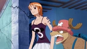 ¡Vuelve, Robin! ¡Enfrentamiento contra el CP9!