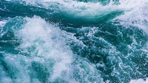 Au fil de l'eau — foto 3