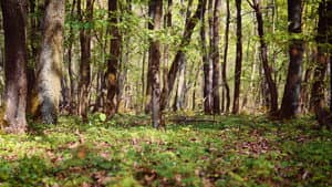 Weckruf der Natur — foto 1