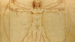 Leonardo — foto 3