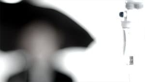 Hebe — foto 8
