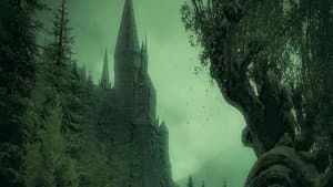 Harry Potter — foto 11