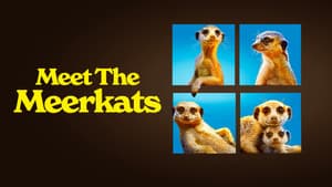 Meet The Meerkats — foto 2