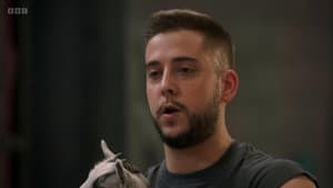 Episodio 12