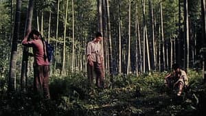 十天 — foto 3