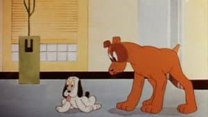 Dog Gone Modern — foto 1