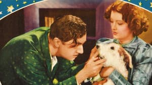 After the Thin Man — foto 3