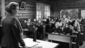 Балтийское небо — foto 4