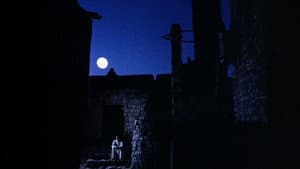 Il fiore delle Mille e una notte — foto 6
