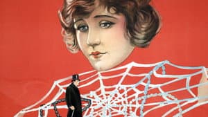 The Web of Desire — foto 1
