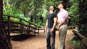 Redwoods — foto 12