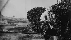 Danseur russe — foto 1