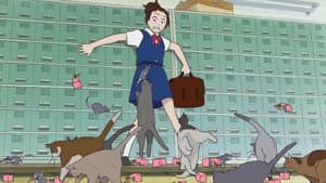 El regreso del gato — foto 10