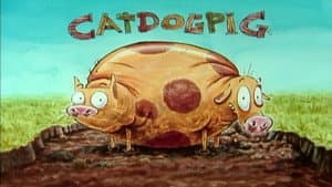 Catdog Cochino