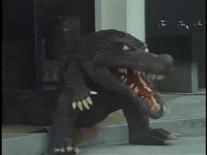 Episodio 8