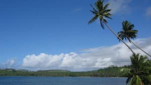 El regreso a la laguna azul — foto 5