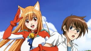 Asobi ni Iku yo! — foto 2