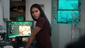 Episodio 13