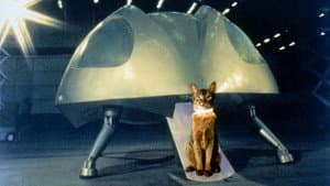 The Cat from Outer Space — foto 3