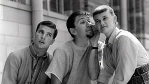 The Many Loves of Dobie Gillis — foto 2
