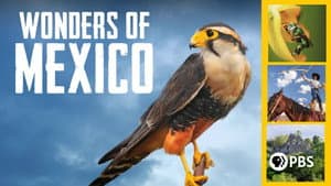 Mexico: Earth's Festival of Life — foto 3