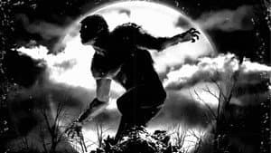 Hombre Lobo por la noche — foto 5