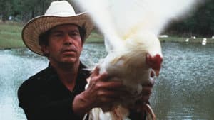 Cockfighter — foto 7