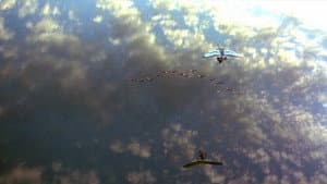 Volando a casa — foto 8
