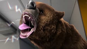 Comme un Ours — foto 1