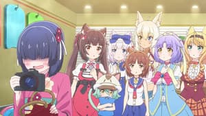 Episodio 12