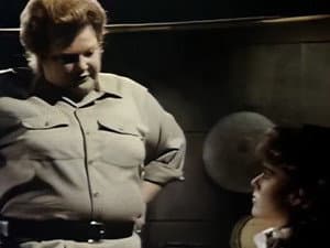 Episodio 14