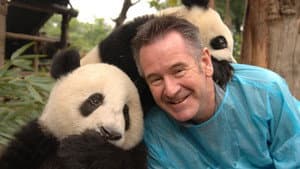 Panda Adventure with Nigel Marven — foto 1