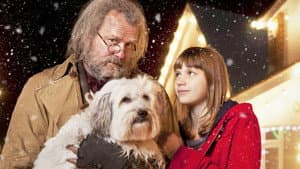 Mr. Stink — foto 1