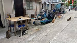 和你寫一封情書 — foto 1