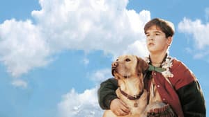 Far from Home: The Adventures of Yellow Dog — foto 1