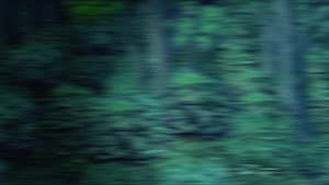 Episodio 10