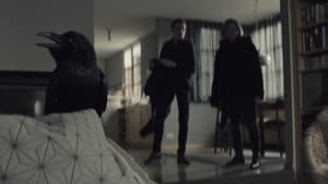 Episodio 8