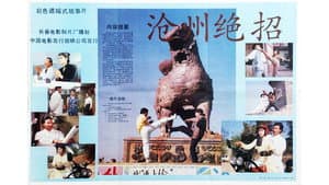 沧州绝招 — foto 1