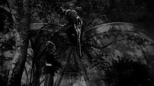 The Merry Widow — foto 12