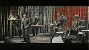 The Animals - Live Performances 1964-1998 — foto 1